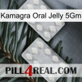 Kamagra Oral Jelly 5Gm 17